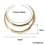 Stainless Steel Two-Layer Silver Choker Necklace