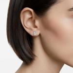 Swarovski Stilla Attract Clear Drop Earrings