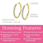 Bianca 18k Gold Plated Hoop Earrings for Women
