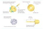 14k Yellow Gold 5mm Hollow Ball Screw Back Earrings