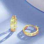 Paw Print Hoop Earrings in Sterling Silver