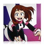 My Hero Academia Mystery Gift Box - Ochaco Edition