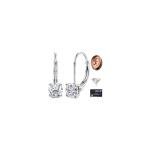 Moissanite Dangle Earrings in 18K White Gold