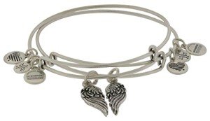 Alex and Ani Silver Wings Bangle Charm Set