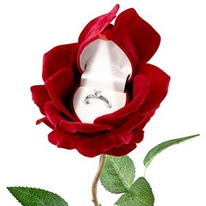 Elegant Rose Ring Box with LED Light