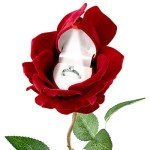 Elegant Rose Ring Box with LED Light