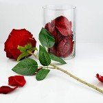 Elegant Rose Ring Box with LED Light
