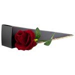 Elegant Rose Ring Box with LED Light