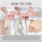 Guinea Pig Sterling Silver Clip-On Charm Pendant