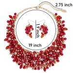 Chunky Crystal Collar Necklace and Earring Set