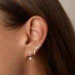 14K Gold Plated Hoop & Stud Earrings Set