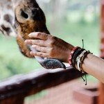 Ubuntu Life Skinny Love Beaded Leather Bracelet