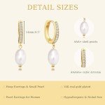 Trendy Gold Pearl Hoop Earrings for Women