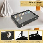 Dustproof Pin Display Case for Collectibles and Travel