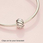 PANDORA Feathered Clip Charm for Moments Bracelets