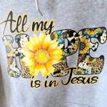 Gray Hoodie: 'All My Hope Is in Jesus