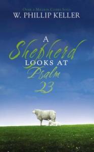 A Shepherd's Insight on Psalm 23 Paperback