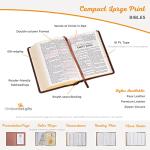 KJV Holy Bible Large Print Compact, Red Letter