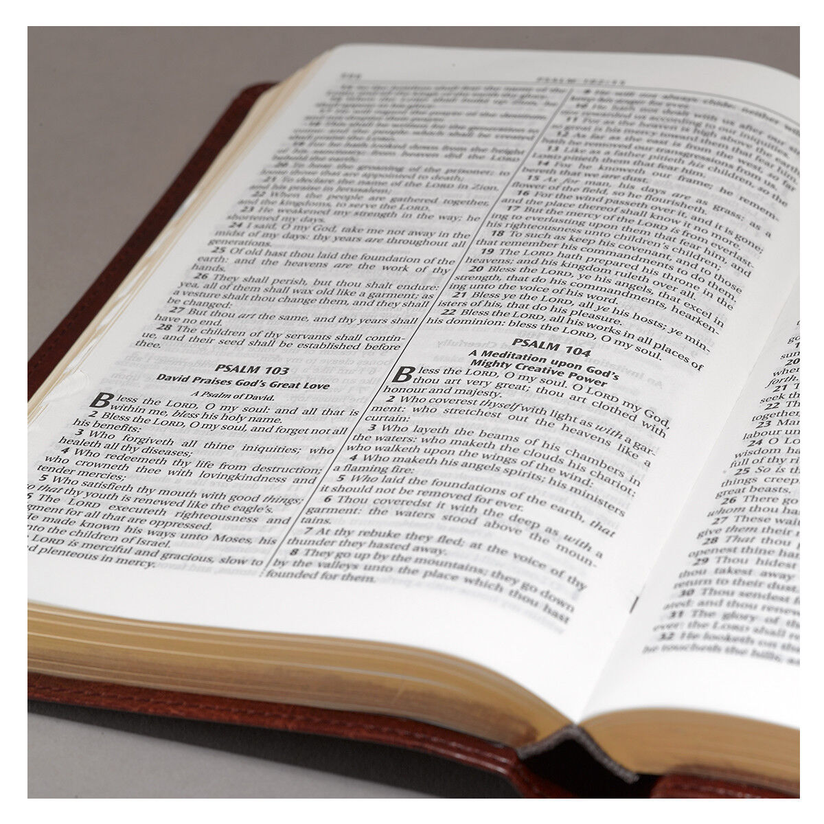 Holy Bible King James Version Burgundy Faux Leather Thumb-Indexed