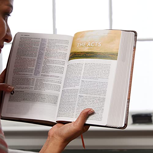 KJV Study Bible: Burgundy Leathersoft, Red Letter, Full-Color