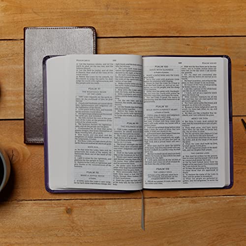 KJV Holy Bible: Large Print Thinline, Gray Leathersoft