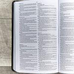 KJV Gift & Award Bible, Black Leather, Red-Letter