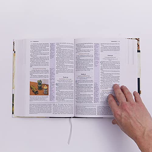 KJV Study Bible: Burgundy Leathersoft, Red Letter, Full-Color