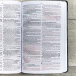 KJV Gift & Award Bible, Black Leather, Red-Letter