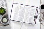 Amethyst Compact Large Print KJV Bible with Thumb Indexing