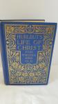 1915 HC Antique Book: Hurlbut's Life of Christ