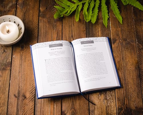365 Daily Devotions: Trusting God with Charles F. Stanley