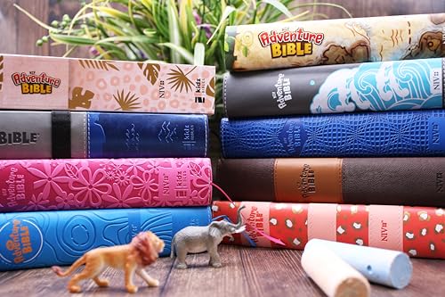 NIV Adventure Bible Hardcover with Full Color Illustrations