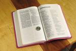 NIV Pink Leathersoft Thinline Bible with Comfort Print