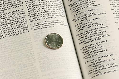 NIV Pink Leathersoft Thinline Bible with Comfort Print