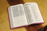 NIV Pink Leathersoft Thinline Bible with Comfort Print