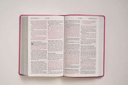 NLT Giant Print Holy Bible: Peony Pink LeatherLike