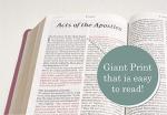 NLT Giant Print Holy Bible: Peony Pink LeatherLike