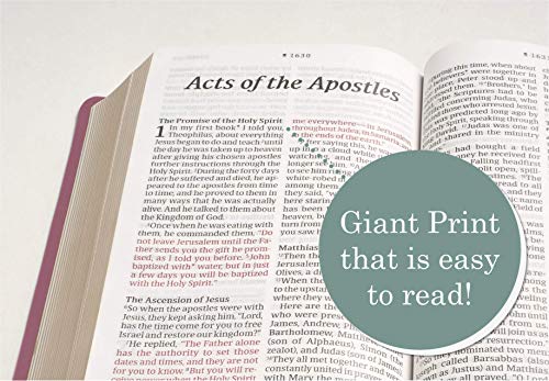 NLT Giant Print Holy Bible: Peony Pink LeatherLike