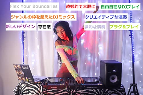 Pioneer DJ DDJ-FLX6 4-channel Controller
