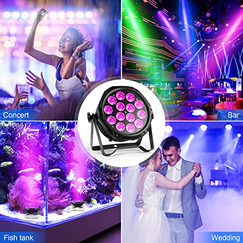 LED Par Lights IP67 Waterproof Stage Light, HOLDLAMP Outdoor RGBW 4-in-1 Uplighting DMX Control Wash Light Strobe Effect DJ Light for Christmas Church Night Club Disco Club Wedding Bar (16 pcs)
