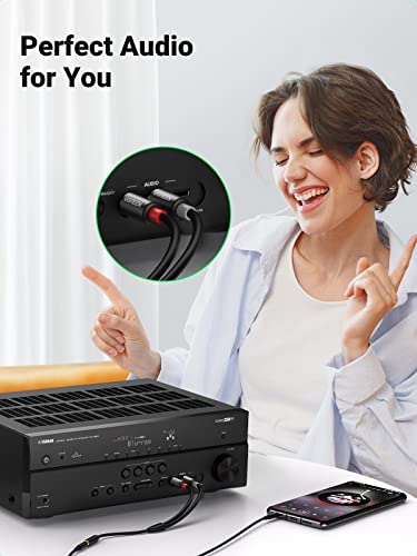 RCA to 3.5mm Audio Adapter Cable