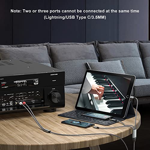 iPhone to Phono Adapter Cable for DJ Equipment