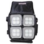 DJ Lighting with Freedom Par and Travel Bag