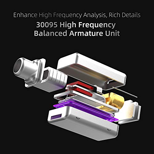 Dual Driver Wired Earbuds for DJ Audiophile
