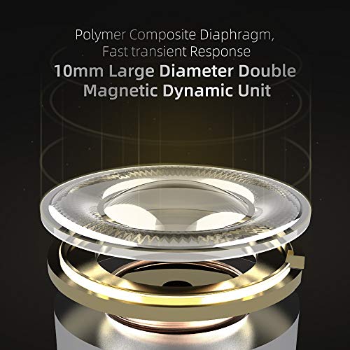 Dual Driver Wired Earbuds for DJ Audiophile