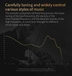 Hybrid In Ear Monitor Headphones for DJs