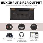 10-in-1 Bluetooth Wood Turntable with Speakers