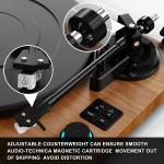 Bluetooth Vinyl Turntable HiFi System