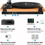 Bluetooth Vinyl Turntable HiFi System