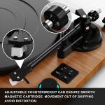 Stereo Turntable with RCA Output & Speakers